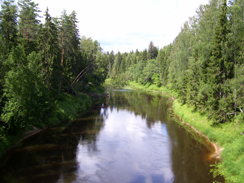 Река Плюсса
