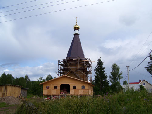 Деревня Лосицы